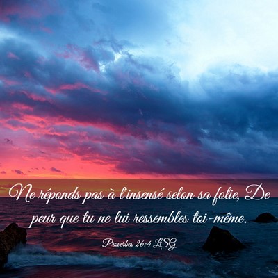 Picture 03 - Proverbes 26:4 LSG - Ne réponds pas à l'insensé selon sa folie, De - Bible Verse Picture