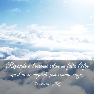 Picture 03 - Proverbes 26:5 LSG - Réponds à l'insensé selon sa folie, Afin qu'il - Bible Verse Picture