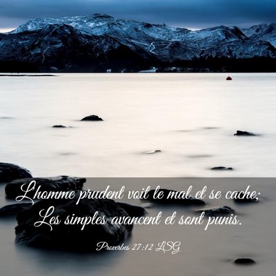 Picture 03 - Proverbes 27:12 LSG - L'homme prudent voit le mal et se cache; Les - Bible Verse Picture
