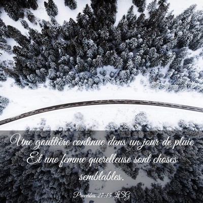 Picture 03 - Proverbes 27:15 LSG - Une gouttière continue dans un jour de pluie Et - Bible Verse Picture