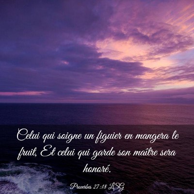 Picture 03 - Proverbes 27:18 LSG - Celui qui soigne un figuier en mangera le fruit, - Bible Verse Picture