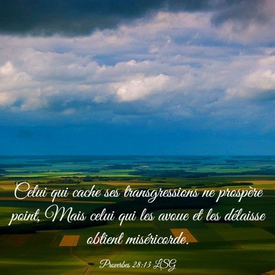 Picture 03 - Proverbes 28:13 LSG - Celui qui cache ses transgressions ne prospère - Bible Verse Picture