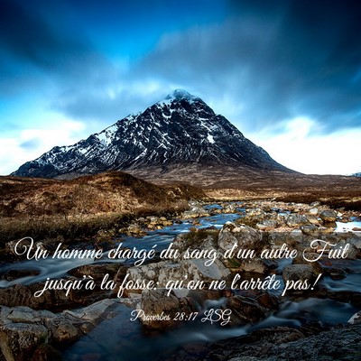 Picture 03 - Proverbes 28:17 LSG - Un homme chargé du sang d'un autre Fuit jusqu'à - Bible Verse Picture
