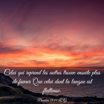 Picture 03 - Proverbes 28:23 LSG - Celui qui reprend les autres trouve ensuite plus - Bible Verse Picture