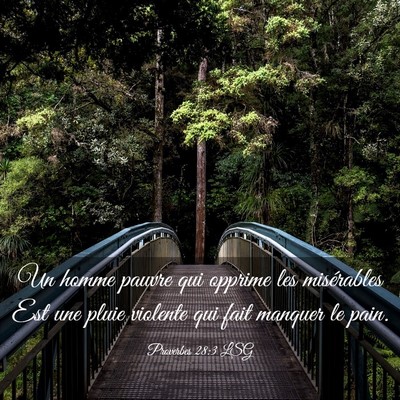 Picture 03 - Proverbes 28:3 LSG - Un homme pauvre qui opprime les misérables Est - Bible Verse Picture