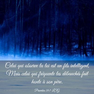 Picture 03 - Proverbes 28:7 LSG - Celui qui observe la loi est un fils intelligent, - Bible Verse Picture