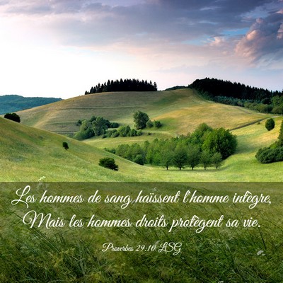 Picture 03 - Proverbes 29:10 LSG - Les hommes de sang haïssent l'homme intègre, - Bible Verse Picture