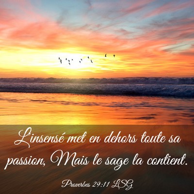 Picture 03 - Proverbes 29:11 LSG - L'insensé met en dehors toute sa passion, Mais - Bible Verse Picture