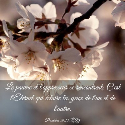 Picture 03 - Proverbes 29:13 LSG - Le pauvre et l'oppresseur se rencontrent; C'est - Bible Verse Picture