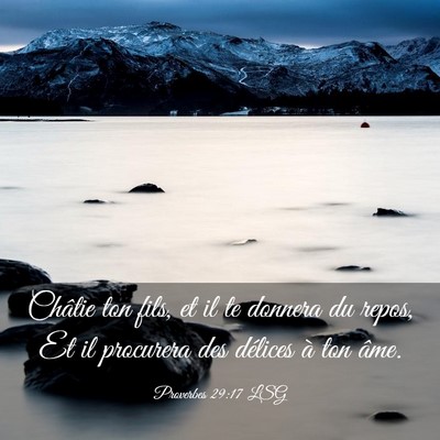 Picture 03 - Proverbes 29:17 LSG - Châtie ton fils, et il te donnera du repos, Et - Bible Verse Picture