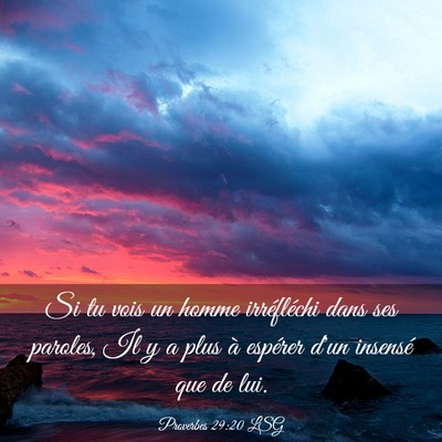 Picture 03 - Proverbes 29:20 LSG - Si tu vois un homme irréfléchi dans ses - Bible Verse Picture