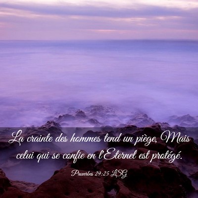 Picture 03 - Proverbes 29:25 LSG - La crainte des hommes tend un piège, Mais celui - Bible Verse Picture