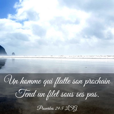 Picture 03 - Proverbes 29:5 LSG - Un homme qui flatte son prochain Tend un filet - Bible Verse Picture