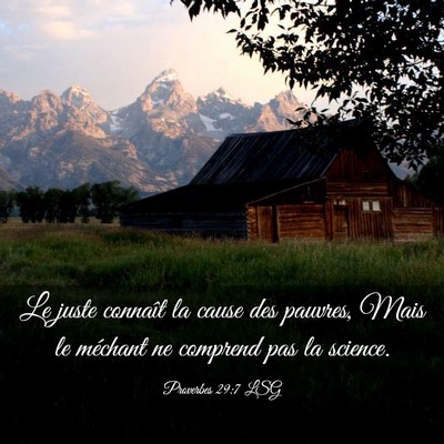 Picture 03 - Proverbes 29:7 LSG - Le juste connaît la cause des pauvres, Mais le - Bible Verse Picture