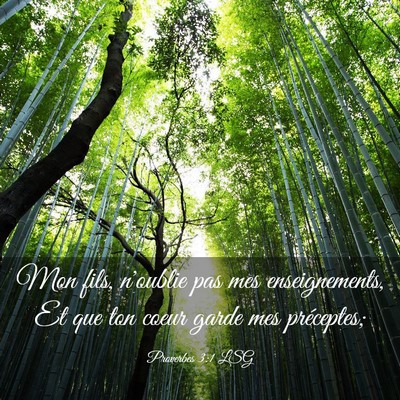 Picture 03 - Proverbes 3:1 LSG - Mon fils, n'oublie pas mes enseignements, Et que - Bible Verse Picture