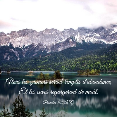 Picture 03 - Proverbes 3:10 LSG - Alors tes greniers seront remplis d'abondance, Et - Bible Verse Picture