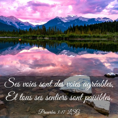 Picture 03 - Proverbes 3:17 LSG - Ses voies sont des voies agréables, Et tous ses - Bible Verse Picture