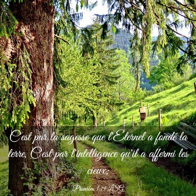 Picture 03 - Proverbes 3:19 LSG - C'est par la sagesse que l'Eternel a fondé la - Bible Verse Picture