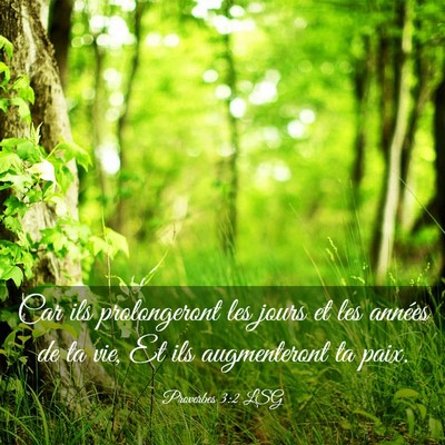 Picture 03 - Proverbes 3:2 LSG - Car ils prolongeront les jours et les années de - Bible Verse Picture