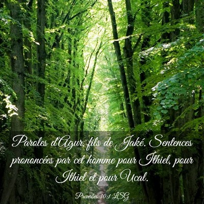 Picture 03 - Proverbes 30:1 LSG - Paroles d'Agur, fils de Jaké. Sentences - Bible Verse Picture