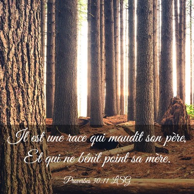 Picture 03 - Proverbes 30:11 LSG - Il est une race qui maudit son père, Et qui ne - Bible Verse Picture