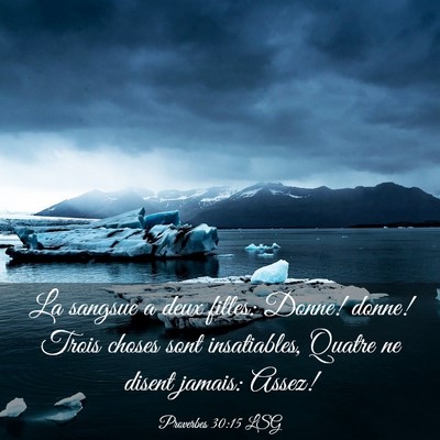 Picture 03 - Proverbes 30:15 LSG - La sangsue a deux filles: Donne! donne! Trois - Bible Verse Picture