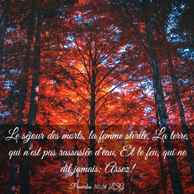 Picture 03 - Proverbes 30:16 LSG - Le séjour des morts, la femme stérile, La - Bible Verse Picture