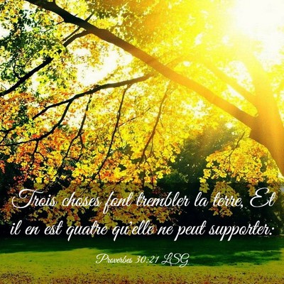 Picture 03 - Proverbes 30:21 LSG - Trois choses font trembler la terre, Et il en est - Bible Verse Picture