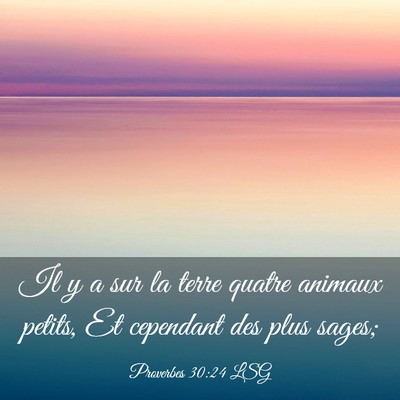 Picture 03 - Proverbes 30:24 LSG - Il y a sur la terre quatre animaux petits, Et - Bible Verse Picture