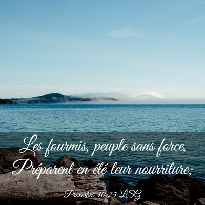 Picture 03 - Proverbes 30:25 LSG - Les fourmis, peuple sans force, Préparent en - Bible Verse Picture