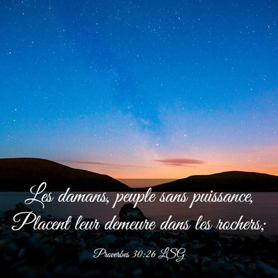Picture 03 - Proverbes 30:26 LSG - Les damans, peuple sans puissance, Placent leur - Bible Verse Picture
