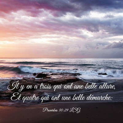 Picture 03 - Proverbes 30:29 LSG - Il y en a trois qui ont une belle allure, Et - Bible Verse Picture