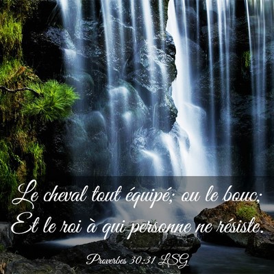 Picture 03 - Proverbes 30:31 LSG - Le cheval tout équipé; ou le bouc; Et le roi à - Bible Verse Picture
