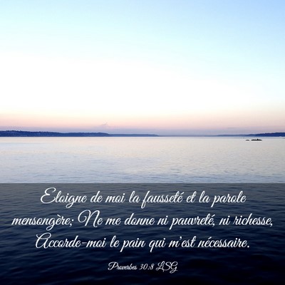 Picture 03 - Proverbes 30:8 LSG - Eloigne de moi la fausseté et la parole - Bible Verse Picture