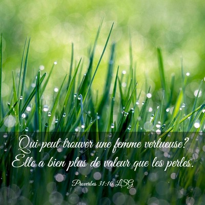 Picture 03 - Proverbes 31:10 LSG - Qui peut trouver une femme vertueuse? Elle a bien - Bible Verse Picture