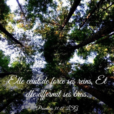 Picture 03 - Proverbes 31:17 LSG - Elle ceint de force ses reins, Et elle affermit - Bible Verse Picture
