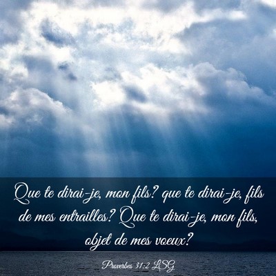 Picture 03 - Proverbes 31:2 LSG - Que te dirai-je, mon fils? que te dirai-je, fils - Bible Verse Picture