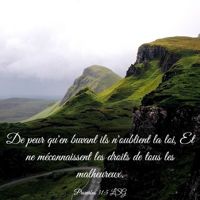 Picture 03 - Proverbes 31:5 LSG - De peur qu'en buvant ils n'oublient la loi, Et ne - Bible Verse Picture