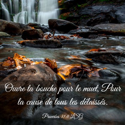 Picture 03 - Proverbes 31:8 LSG - Ouvre ta bouche pour le muet, Pour la cause de - Bible Verse Picture