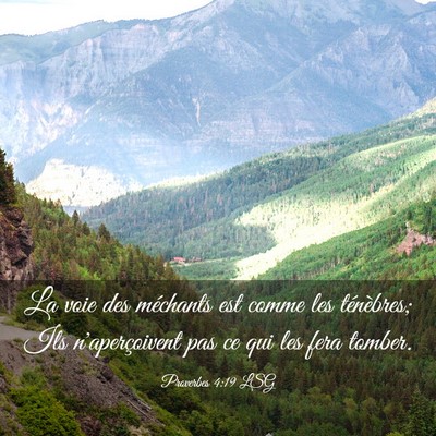 Picture 03 - Proverbes 4:19 LSG - La voie des méchants est comme les ténèbres; - Bible Verse Picture