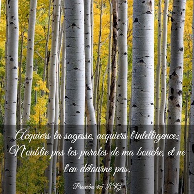 Picture 03 - Proverbes 4:5 LSG - Acquiers la sagesse, acquiers l'intelligence; - Bible Verse Picture