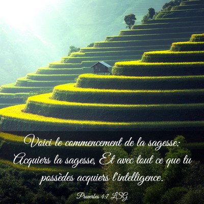 Picture 03 - Proverbes 4:7 LSG - Voici le commencement de la sagesse: Acquiers la - Bible Verse Picture