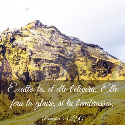 Picture 03 - Proverbes 4:8 LSG - Exalte-la, et elle t'élèvera; Elle fera ta - Bible Verse Picture