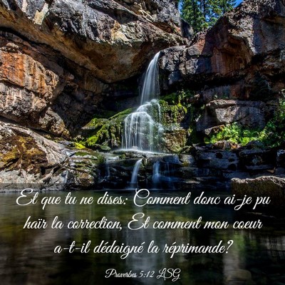 Picture 03 - Proverbes 5:12 LSG - Et que tu ne dises: Comment donc ai-je pu haïr - Bible Verse Picture