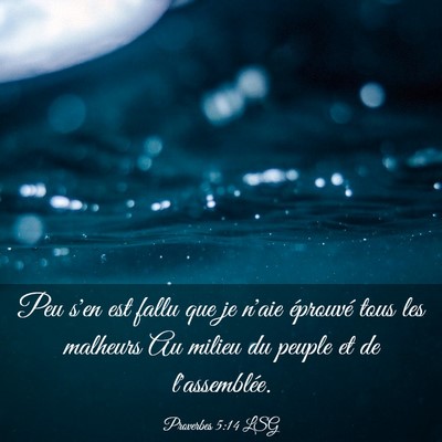 Picture 03 - Proverbes 5:14 LSG - Peu s'en est fallu que je n'aie éprouvé tous - Bible Verse Picture