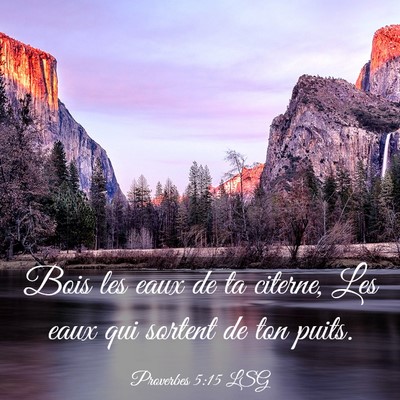 Picture 03 - Proverbes 5:15 LSG - Bois les eaux de ta citerne, Les eaux qui sortent - Bible Verse Picture