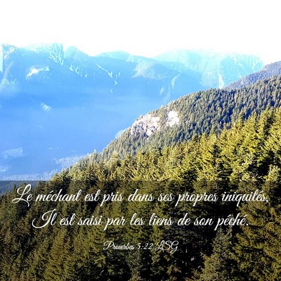 Picture 03 - Proverbes 5:22 LSG - Le méchant est pris dans ses propres iniquités, - Bible Verse Picture