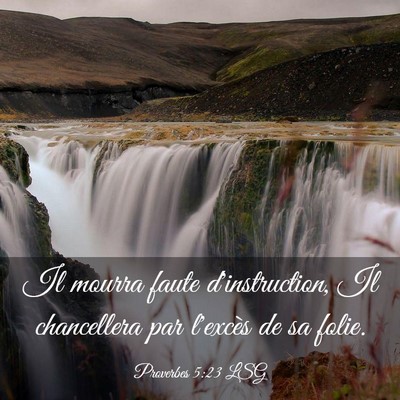 Picture 03 - Proverbes 5:23 LSG - Il mourra faute d'instruction, Il chancellera par - Bible Verse Picture