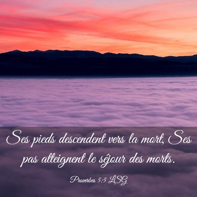 Picture 03 - Proverbes 5:5 LSG - Ses pieds descendent vers la mort, Ses pas - Bible Verse Picture