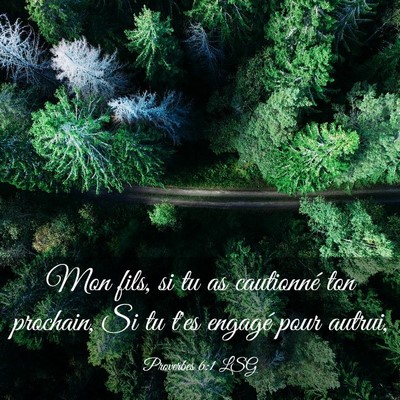 Picture 03 - Proverbes 6:1 LSG - Mon fils, si tu as cautionné ton prochain, Si tu - Bible Verse Picture